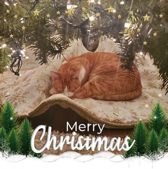 Meet your Posher, Ellen - Picture 1 of 2